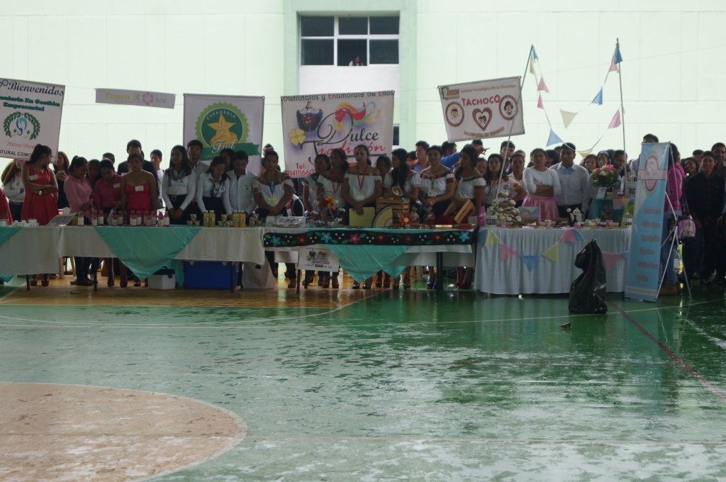 DSC08486.JPG