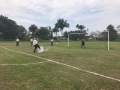 futbol 12