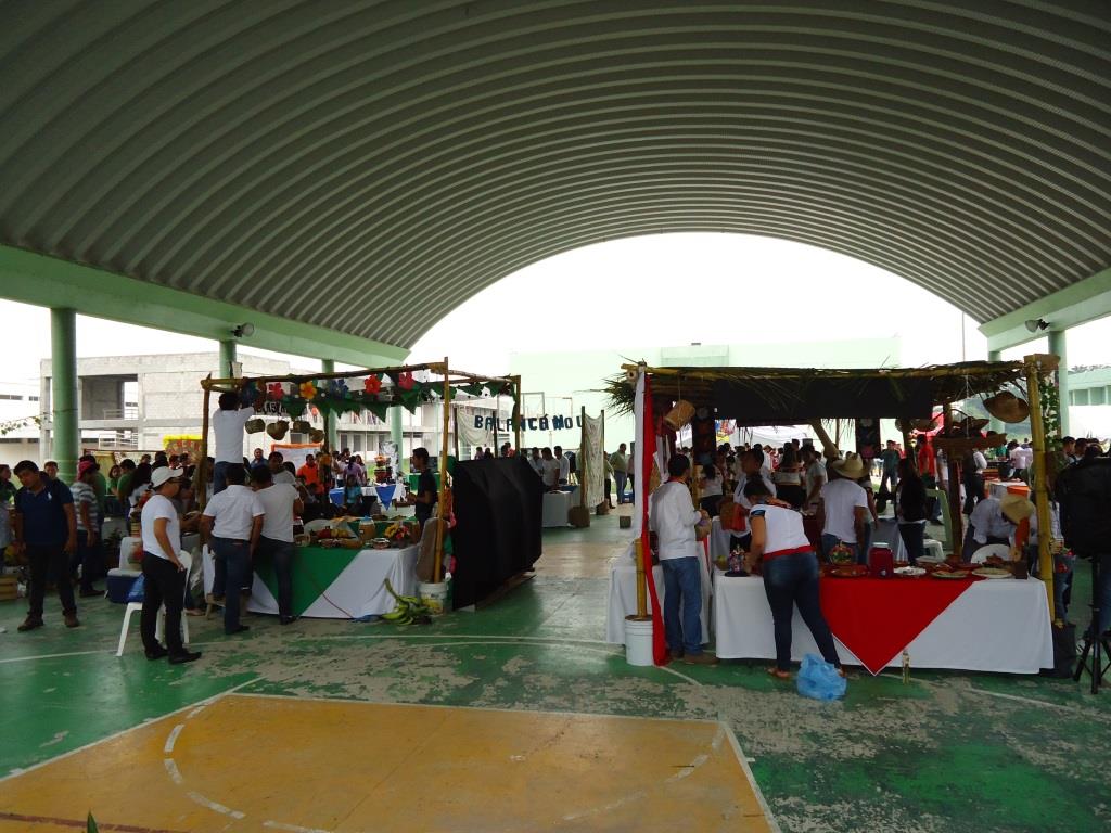 5ta. expo 3