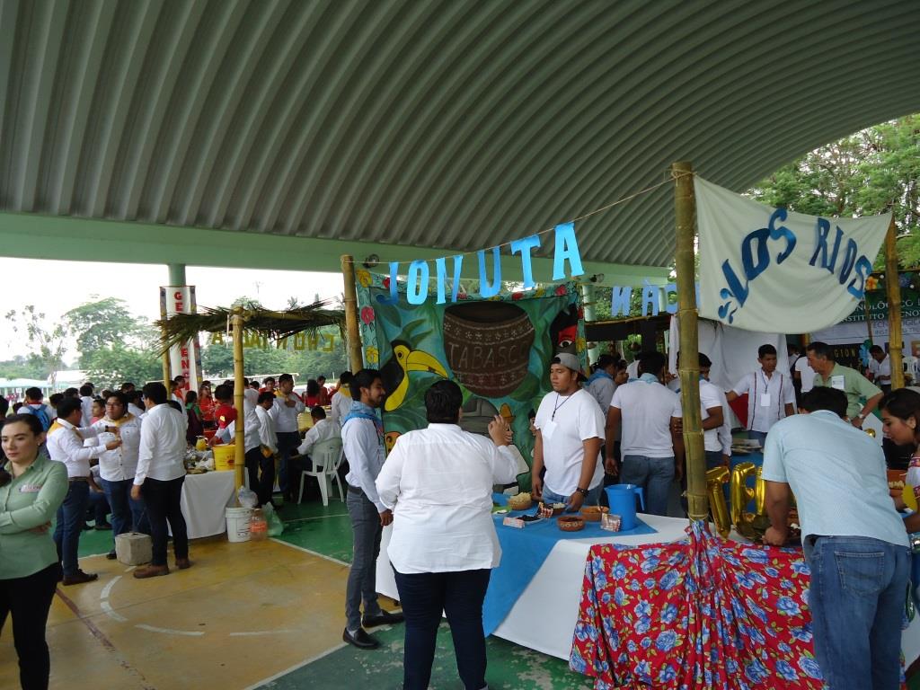 5ta. expo 4