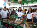 5ta. expo 14