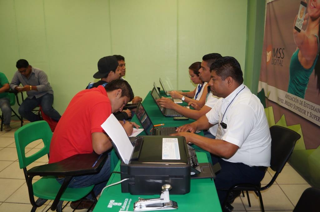 IMSS 7