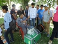 Clausura 6
