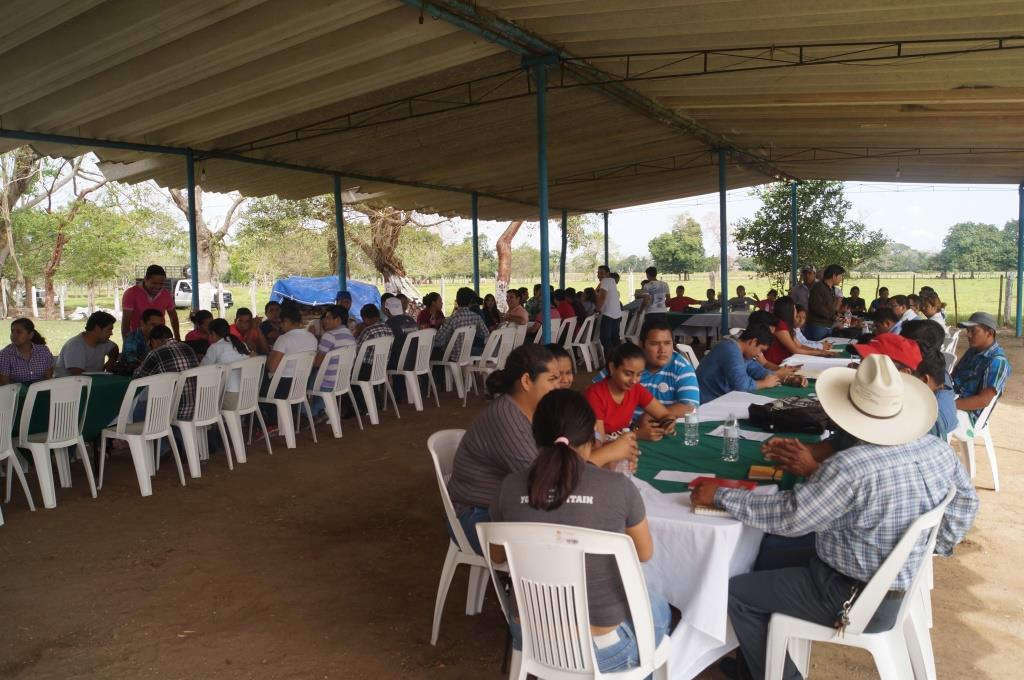 Curso Jovenes 2