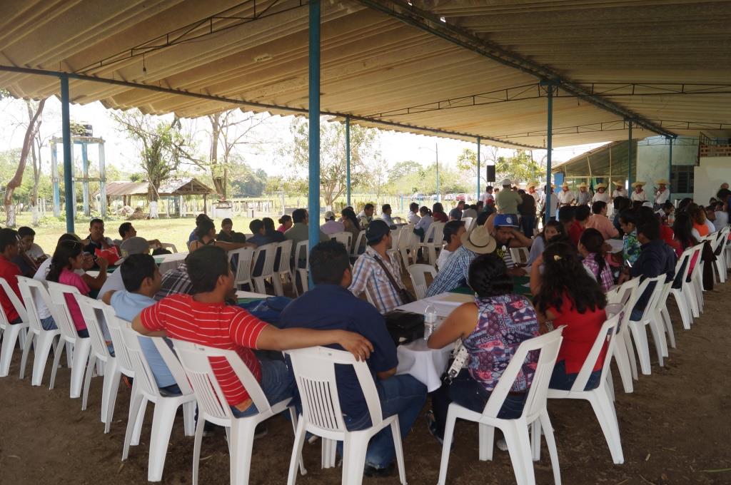 Curso Jovenes 3