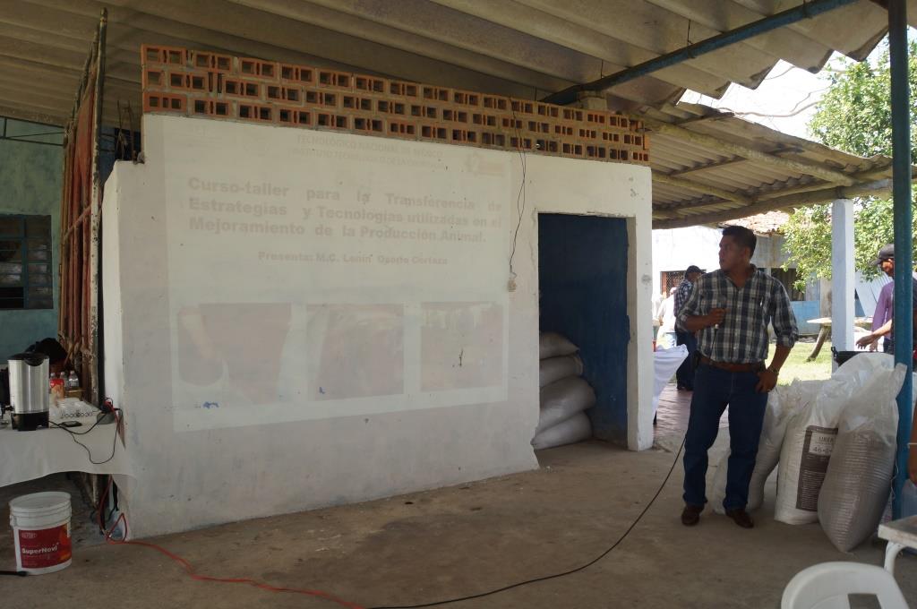 Curso Jovenes 4