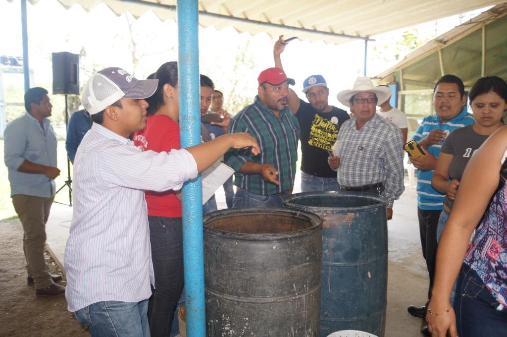 Curso Jovenes 8