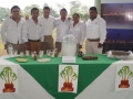 Eneit 7