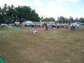 Feria 20