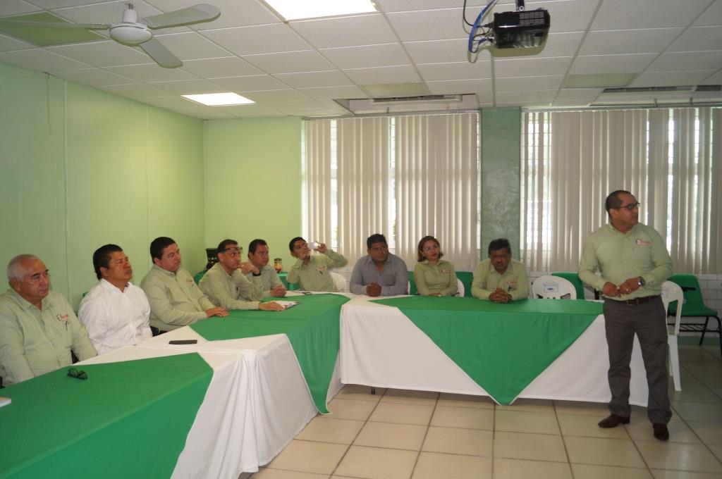 visita 4