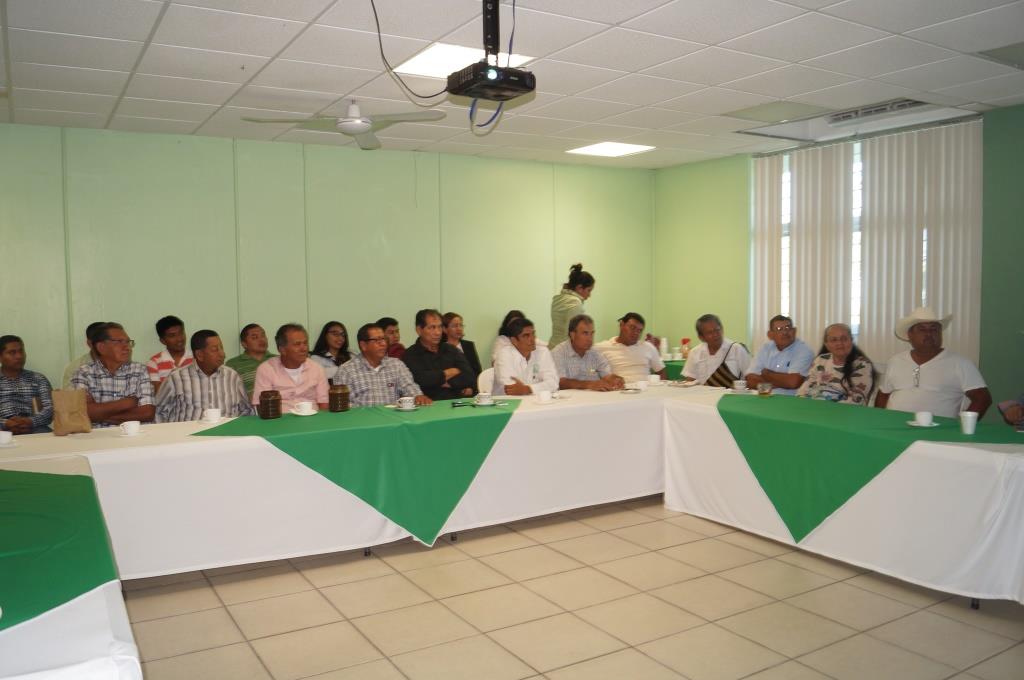 Extensionismo 6