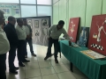 arte 7