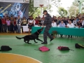 DSC08804.JPG