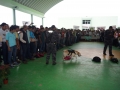 DSC08828.JPG