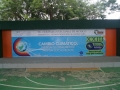 cyt 1
